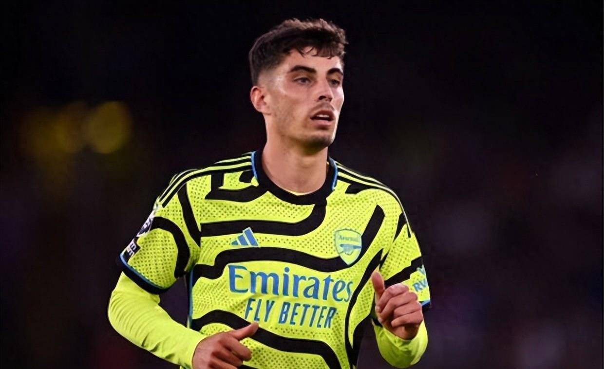 帕尔默的可 帕尔默的可